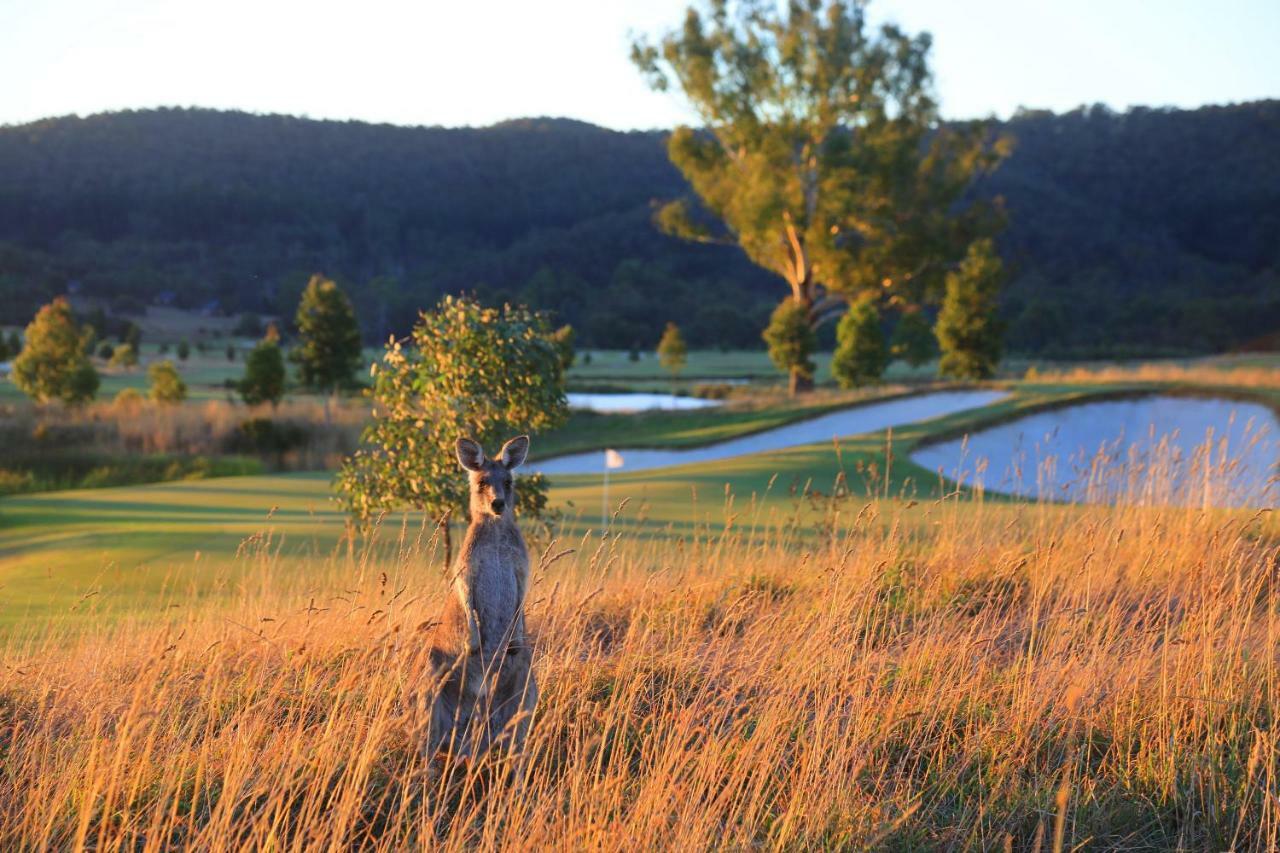 Chateau Yering Hotel Yarra Glen Luaran gambar